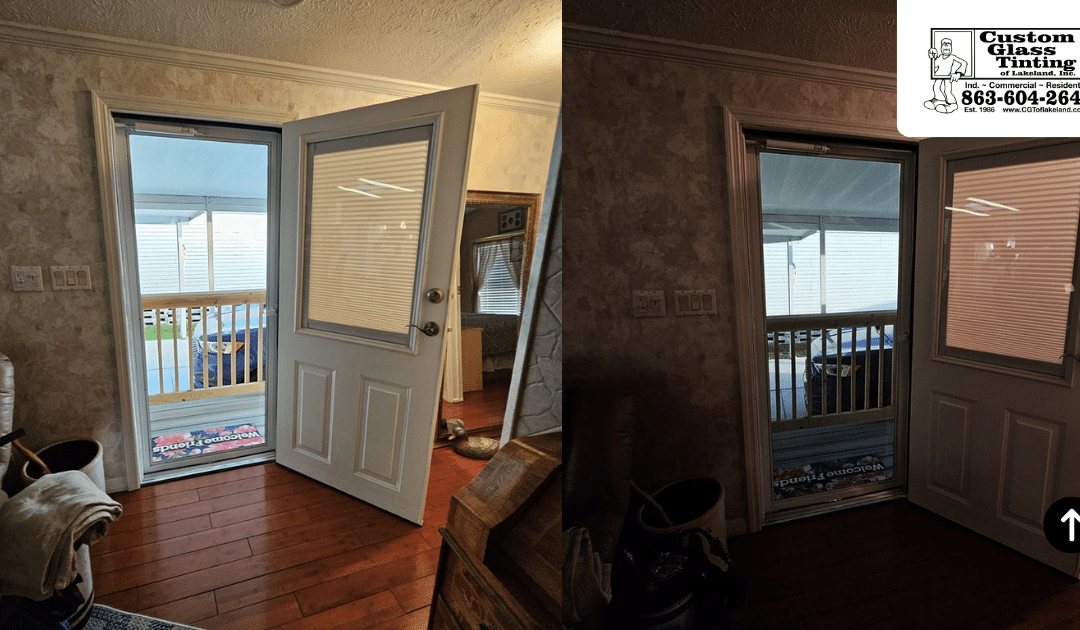 Front Door Glare Reduction Film Plant City