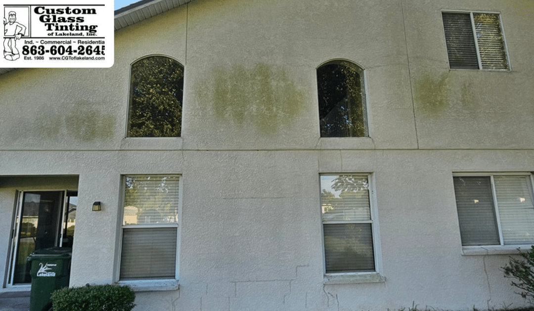 Residential Heat Control Window Film in Lakeland
