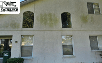 Residential Heat Control Window Film in Lakeland
