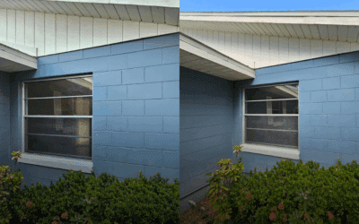 Semi-Reflective Window Tinting Lakeland