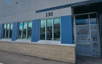 How to Vet Window Tinting Contractors