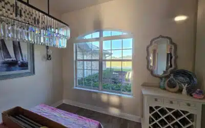 Window Film vs. Replacement Windows: The Better Investment for Florida Homes